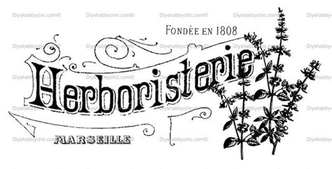 Entête Herboristerie