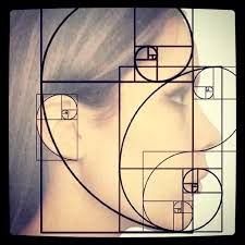 observation clinique